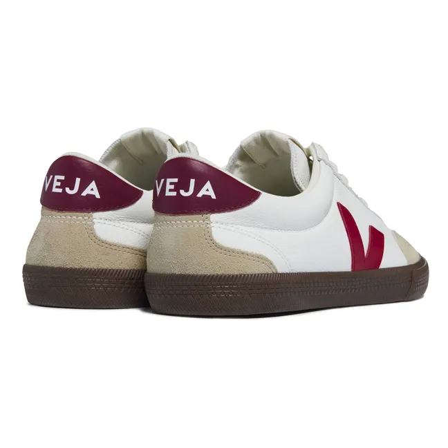 Zapatillas O.T Volley | Burdeos