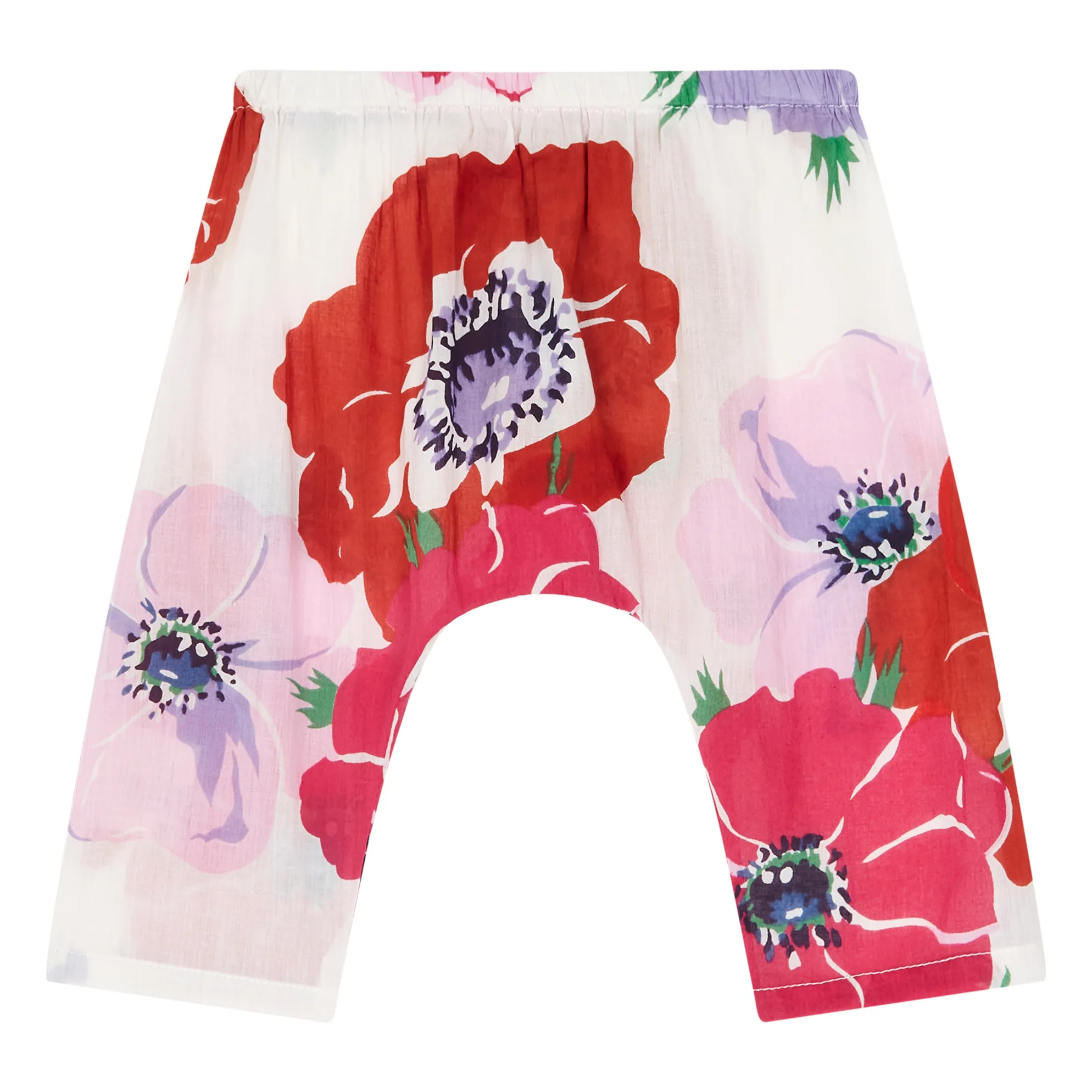 Lucas du Tertre - Sarouel Anémone (Lucas du Tertre) - Couverture