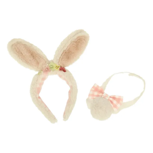 Easter Bunny Disguise