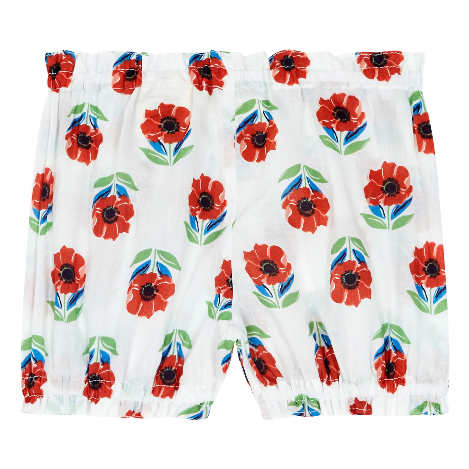 Lucas du Tertre - Bloomer Anémone (Lucas du Tertre) - Image 1