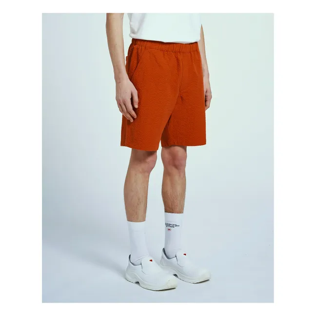 Corto Simon Seer | Ladrillo