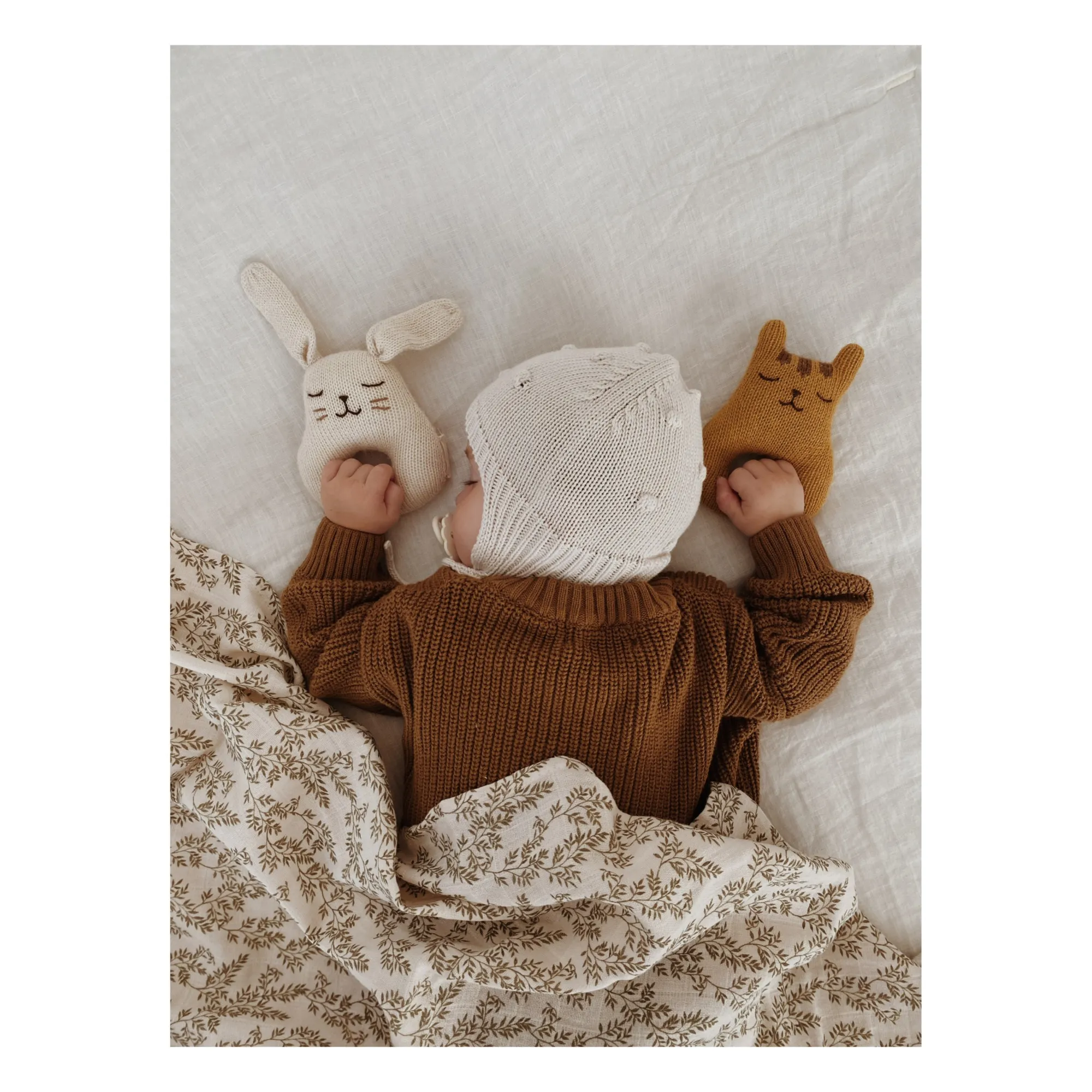 Main Sauvage - Hochet Tigre (Main Sauvage) - Image 2