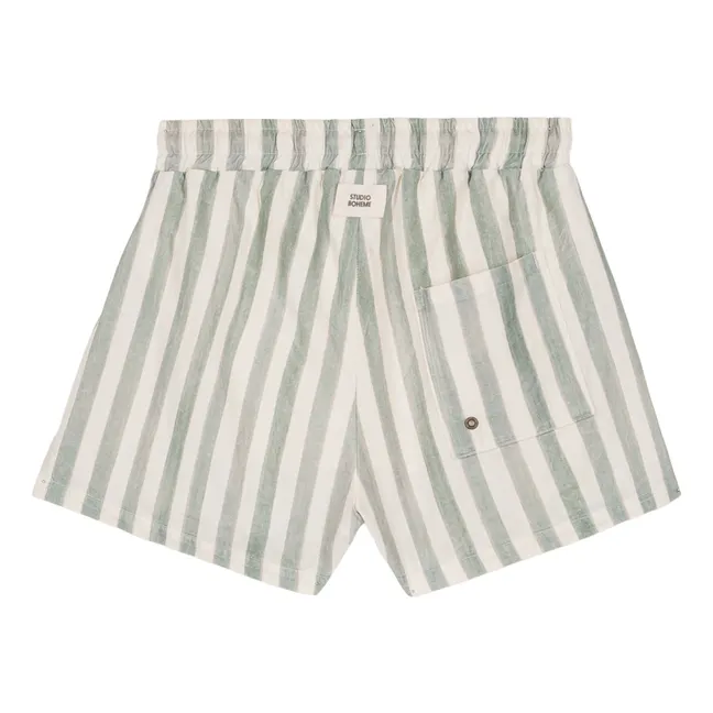Chico Striped Swim Shorts | Green