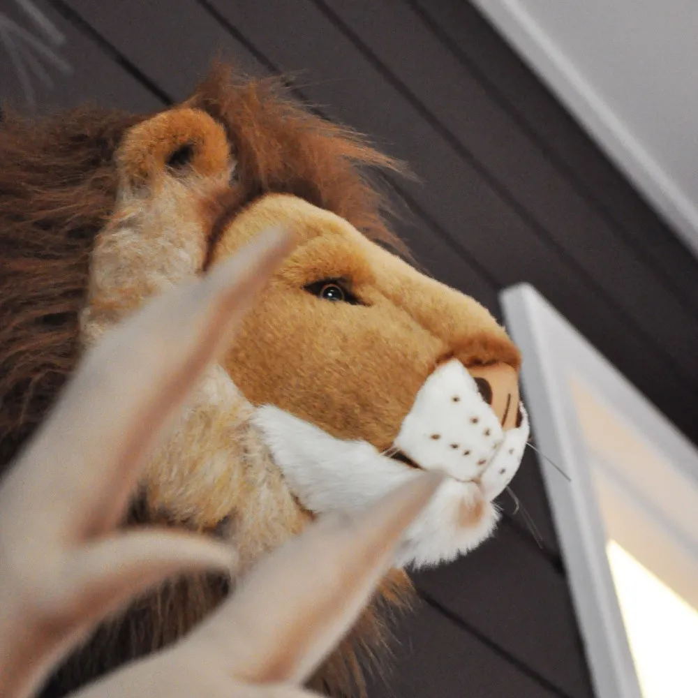 Wild & Soft - Trophée Lion (Wild & Soft) - Image 2