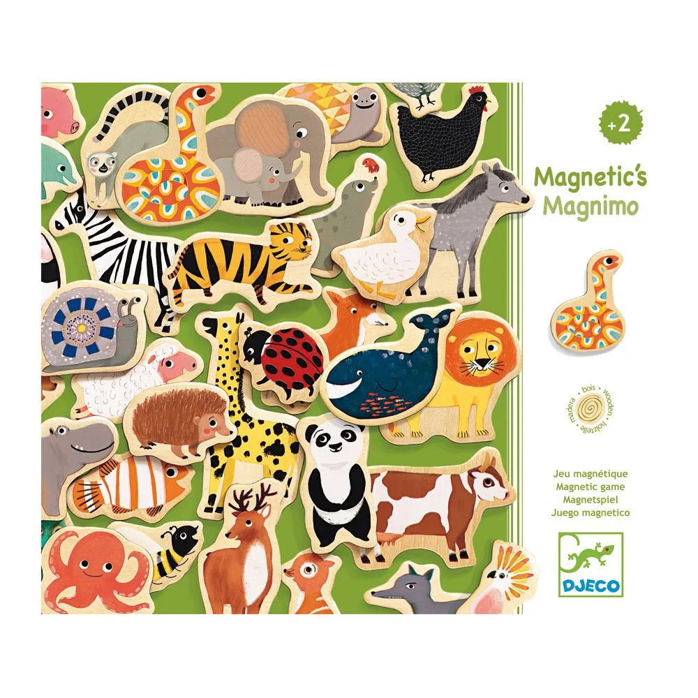 Djeco Multicoloured Magnimo Magnetic Game