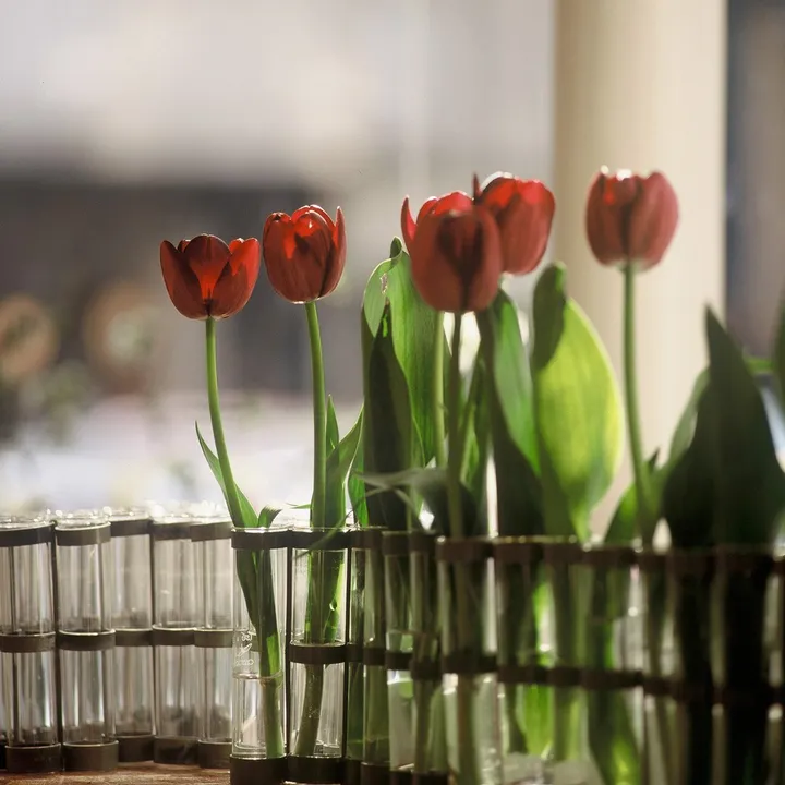 Vase d'avril-- Image produit n°8