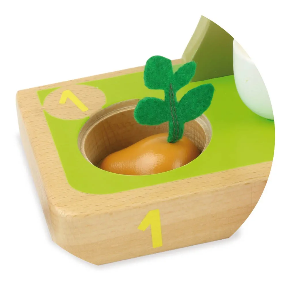 J'apprends à compter les légumes- Image produit n°2