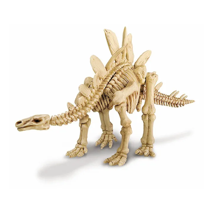 Set von Dinosaurier Ausgrabung  Stegosaurus- Produktbild Nr. 2