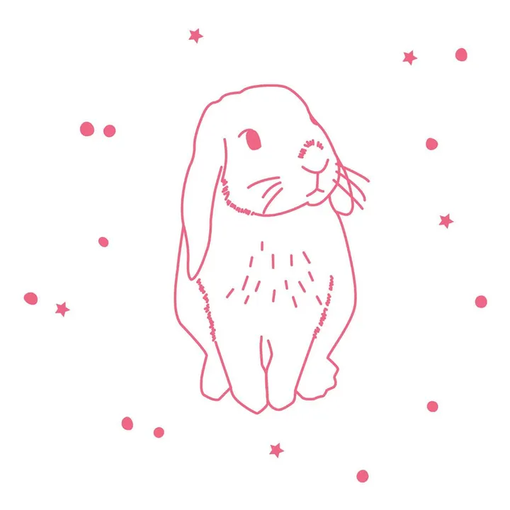 Sticker Conejo Flúor- Imagen del producto n°0