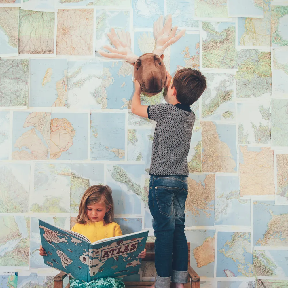 Wild & Soft - Trophée Elan (Wild & Soft) - Image 1