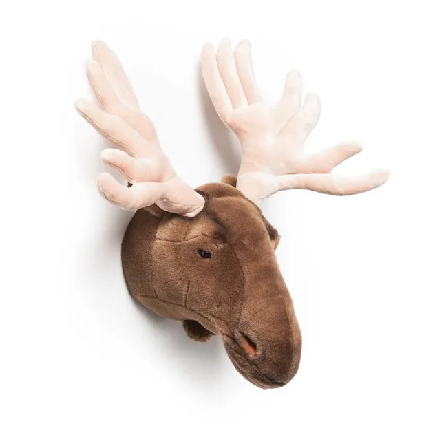 Trofeo Alce | Marrone