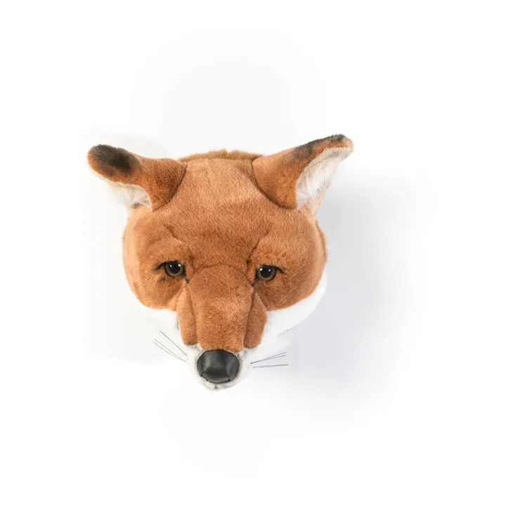 Trophée Renard | Brun roux- Image produit n°0