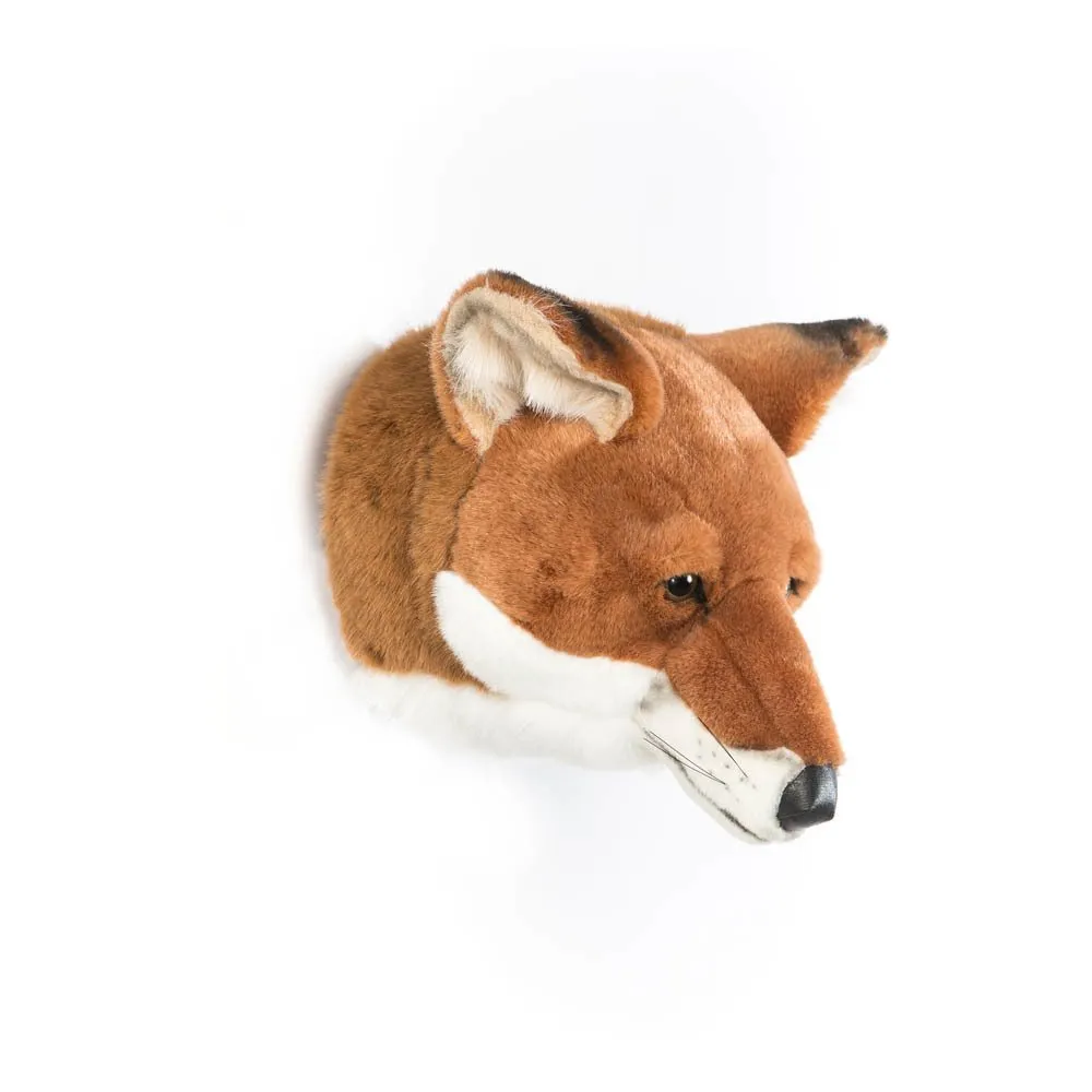 Wild & Soft - Trophée Renard (Wild & Soft) - Image 1