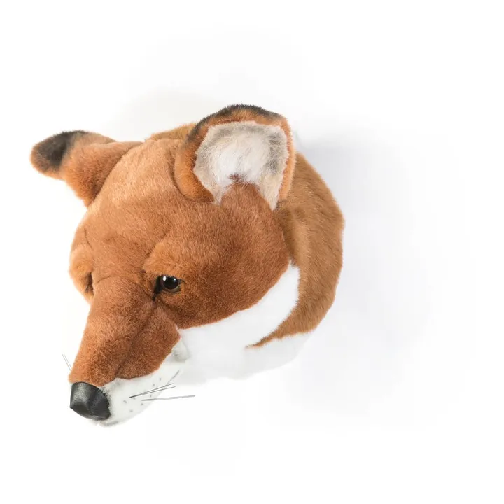 Trophée Renard | Brun roux- Image produit n°2