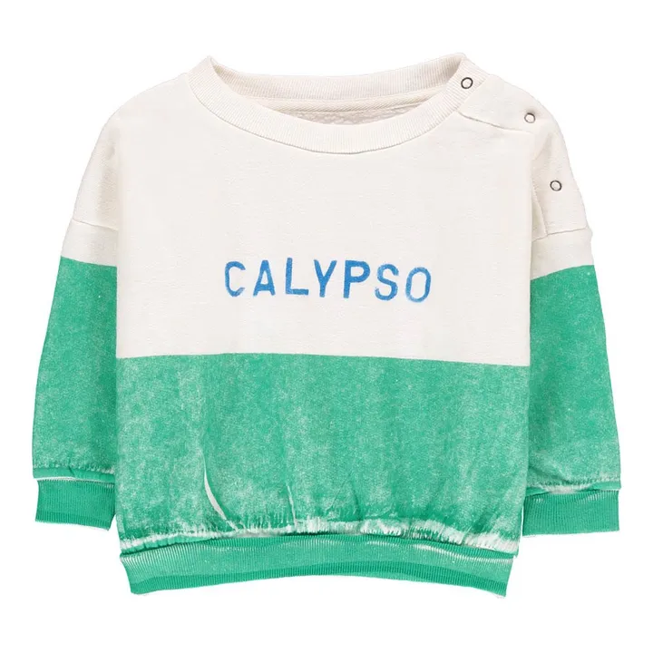 Felpa Calypso Cotone Bio | Verde- Immagine del prodotto n°0