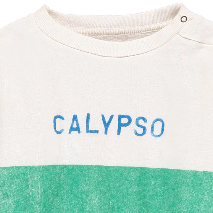 Felpa Calypso Cotone Bio | Verde- Immagine del prodotto n°1