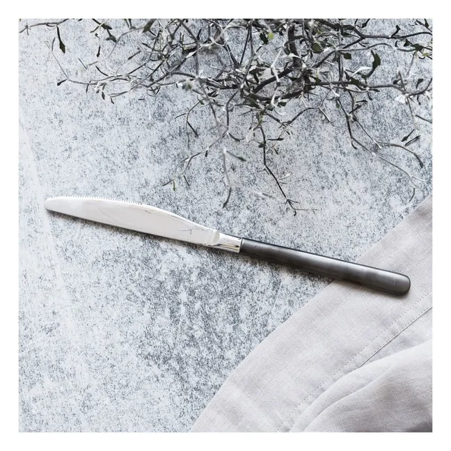 Stainless Steel Knife  | Steel