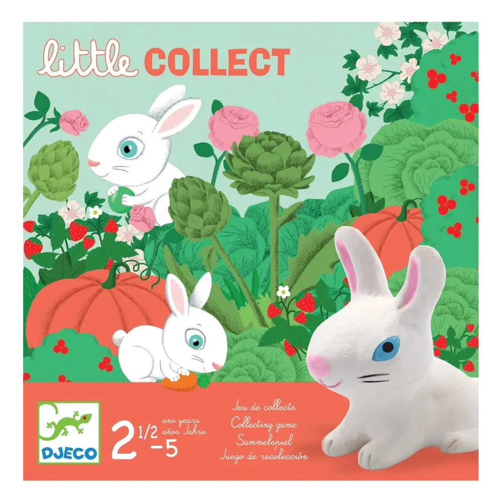 Djeco Multicoloured Little Collect Game