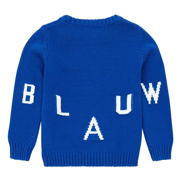Suéter Wow | Azul- Imagen del producto n°2