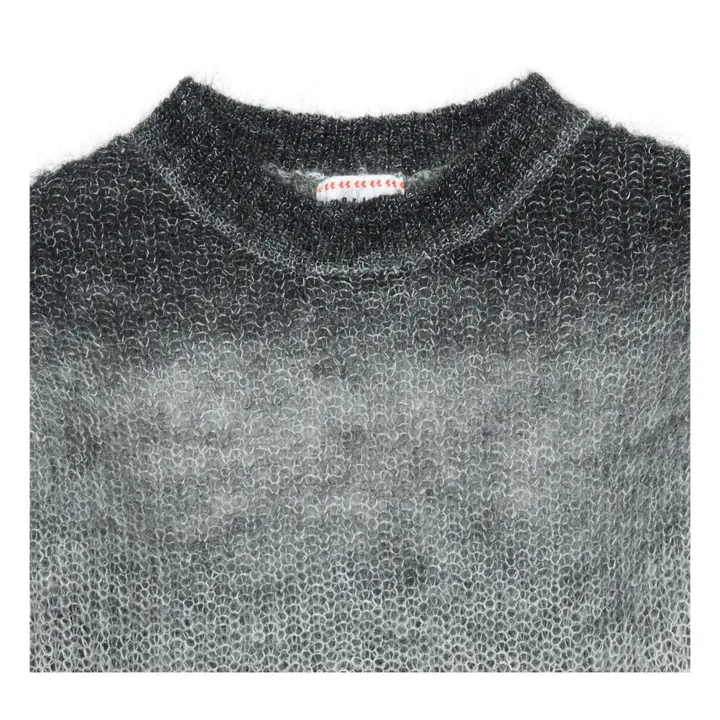 Pullover aus Wolle und Mohair-Wolle Irsia  | Grau- Produktbild Nr. 1