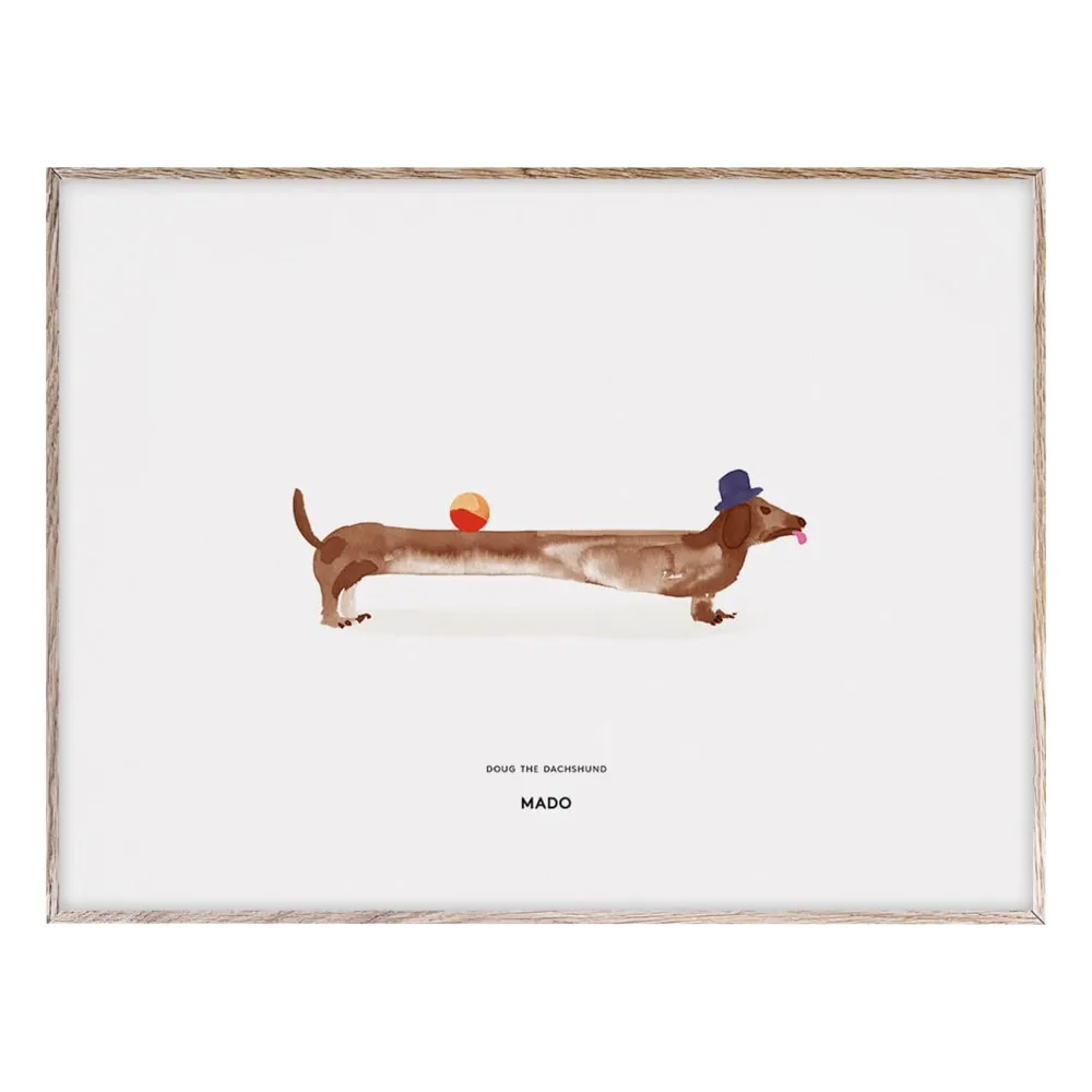 Mado - Affiche Doug the Dachshund 40x30 cm (Mado) - Couverture
