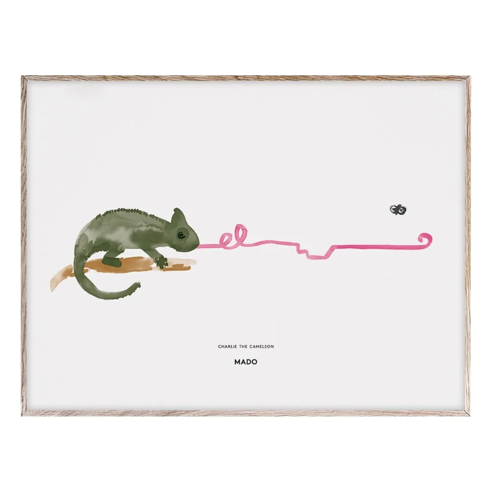 Mado - Affiche Charlie the Chameleon 40x30 cm (Mado) - Couverture
