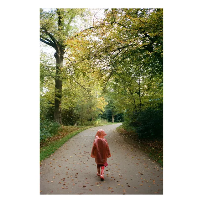 Iris Vichy Raincoat | Oats