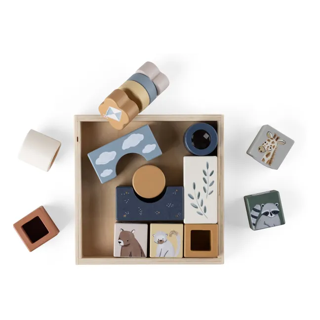 Multi-Activity Block | Multicoloured