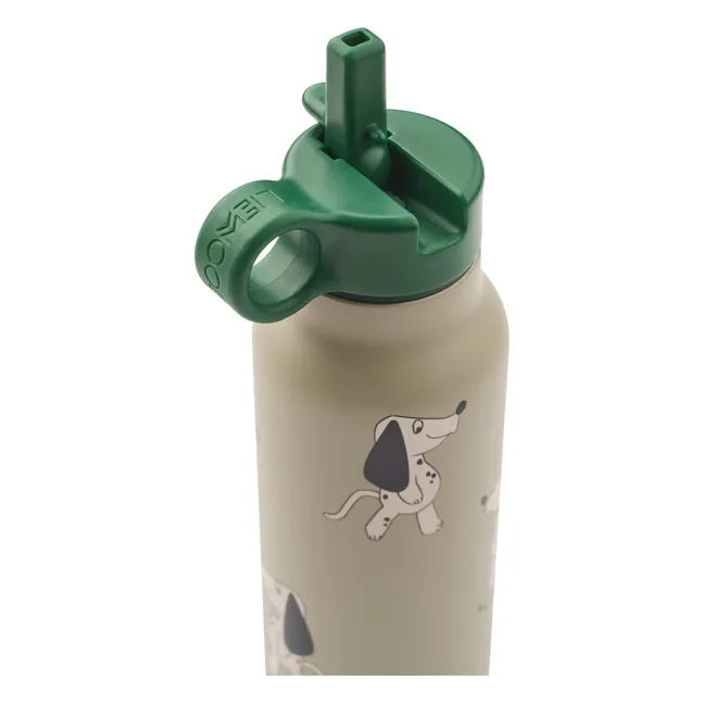 Gourde Falk - 350 ml | Dakota Dog/Mist