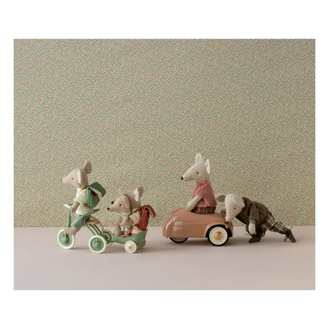 Tricycle et son abri | Vert