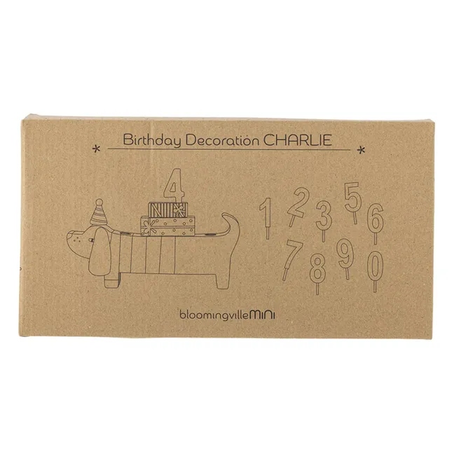 Charlie birthday decoration | Brown
