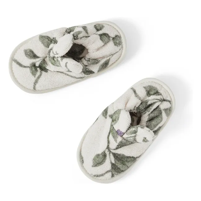 Zapatillas de ciruela | Ciruela