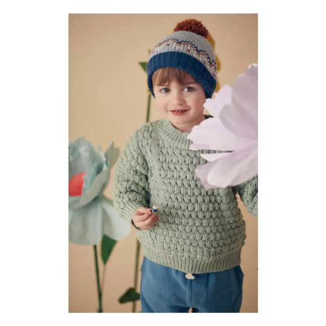 Amio Maille Fantaisie sweater | Sage