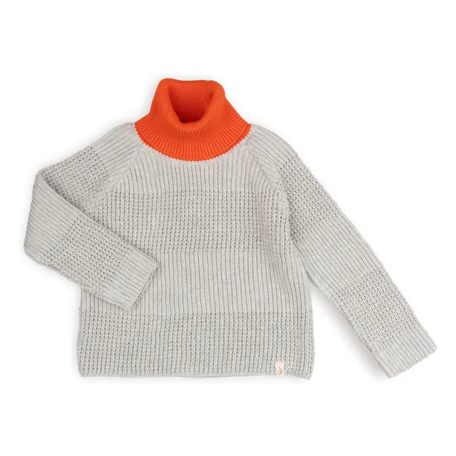 Maglione Ari | Grigio