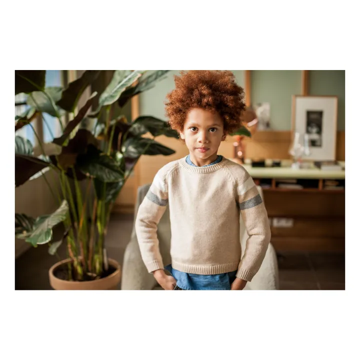 Pullover Robert | Beige- Produktbild Nr. 5