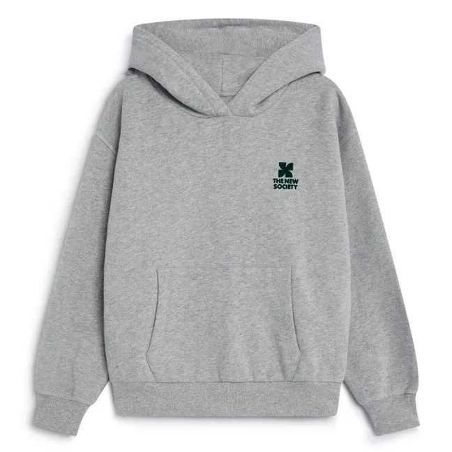 Sweat à Capuche Logo TNS | Gris