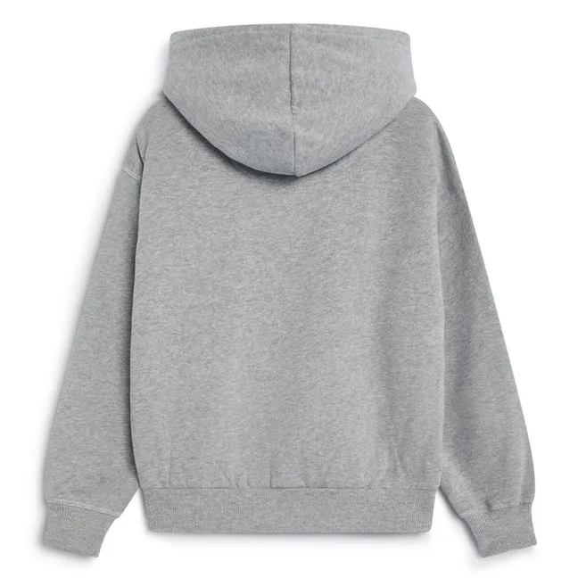 Sweat à Capuche Logo TNS | Gris