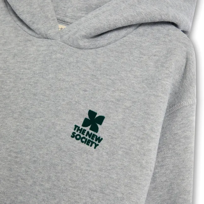 Sweat à Capuche Logo TNS | Gris