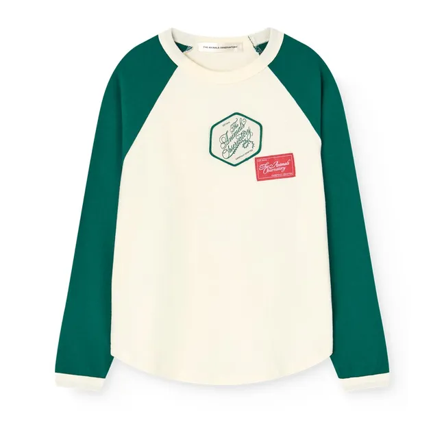 T-shirt Colorblock Anteater Coton Bio | Vert
