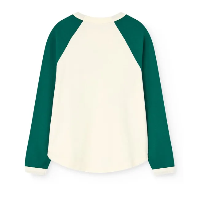 Colorblock Anteater organic cotton T-shirt | Green