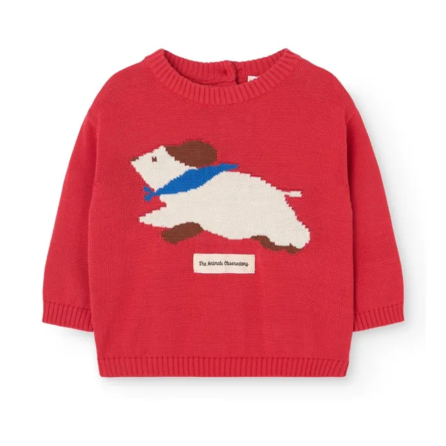 Bobcat sweatshirt | Red