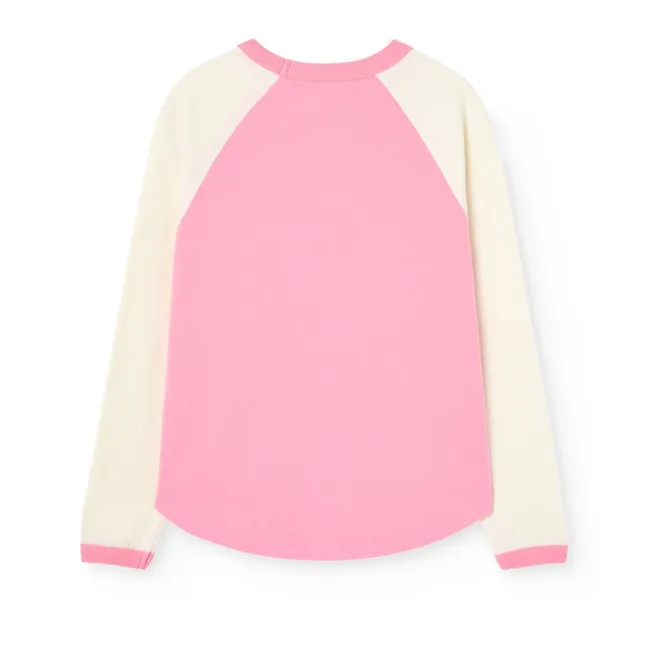T-shirt Colorblock Anteater Coton Bio | Rose