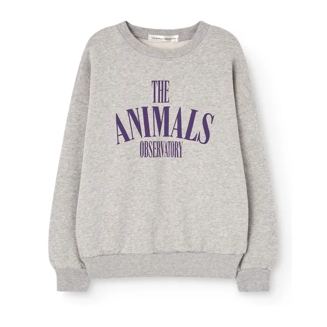 Sweat Killifish The Animals Observatory | Gris chiné