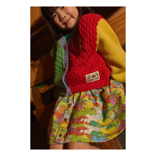 Cardigan Colorblock | Rouge