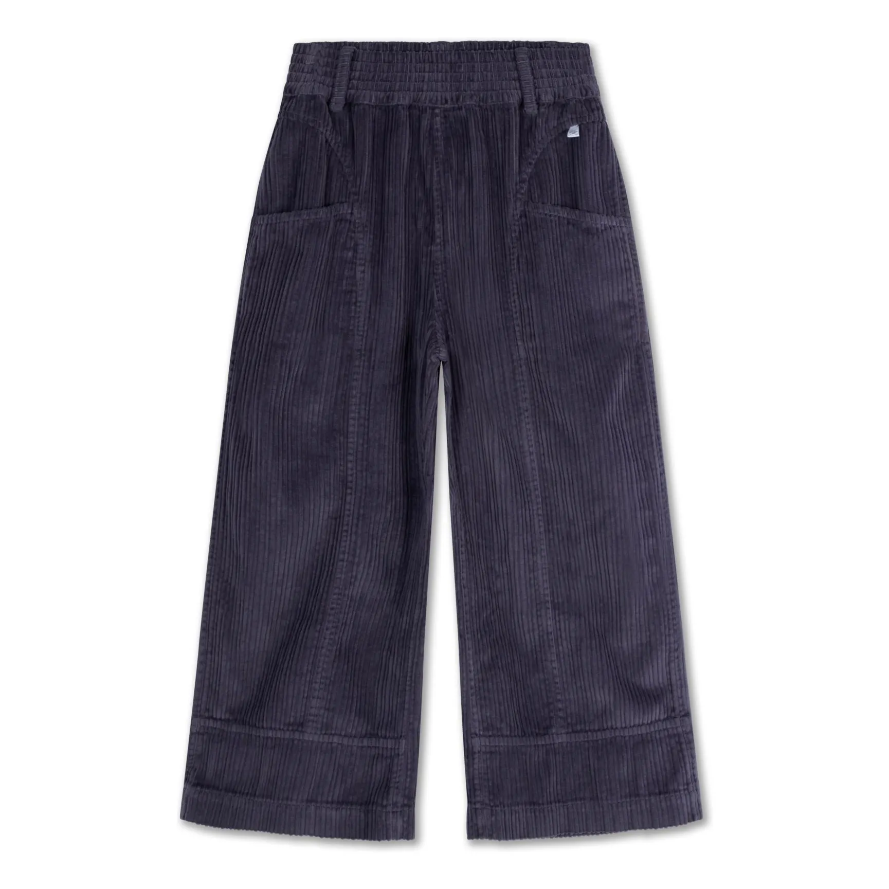 Repose Ams Navy Blue Organic Cotton Velvet Pants