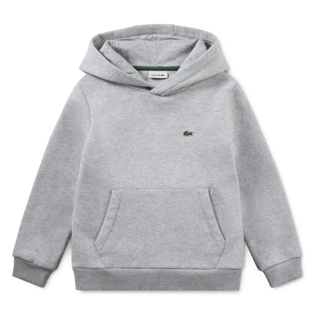 Sweat à Capuche Logo | Gris
