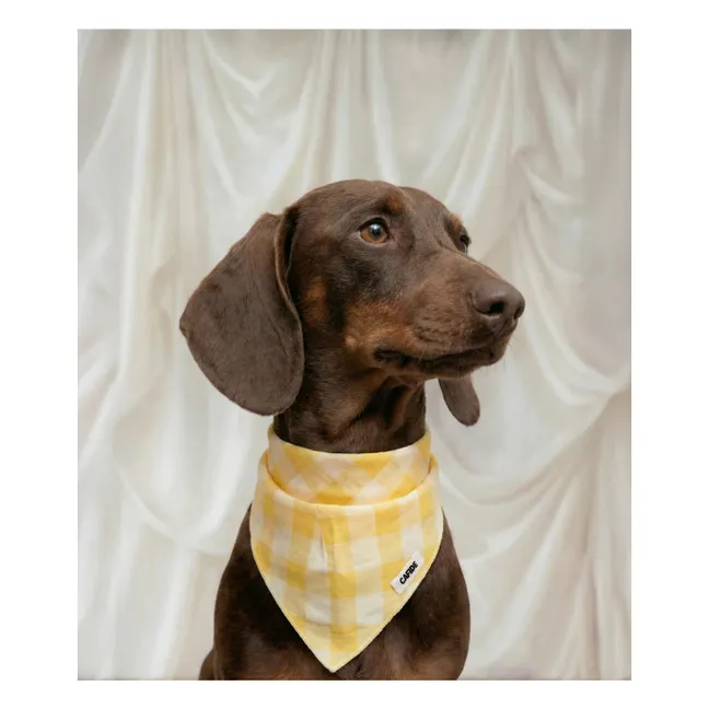Bandana pour chien Nata  | Jaune