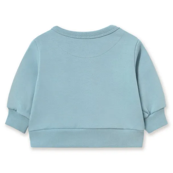 Organic Cotton Dog Sweatshirt | Light blue