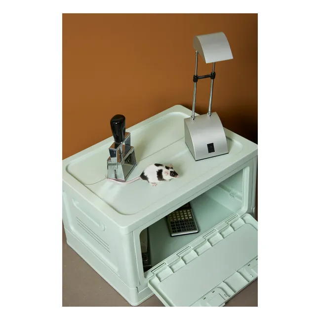 Boîte de rangement empilable | Vert Menthe