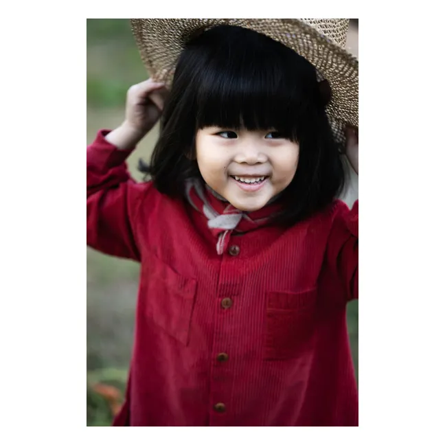 Regina Ribbed Velvet Dress | Red